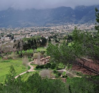 Soller