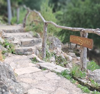 Botanischer Garten Lluc 2