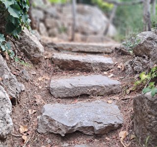 Botanischer Garten Lluc 4