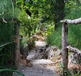 Botanischer Garten Lluc 5