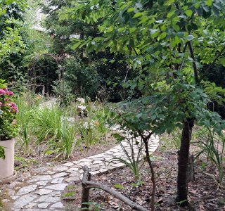 Botanischer Garten Lluc 6