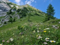 Blick zum Watzmannhaus