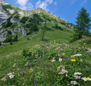 Blick zum Watzmannhaus