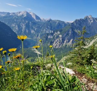 Panoramablick