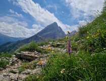 Watzmann-Frau