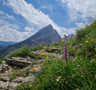 Watzmann-Frau