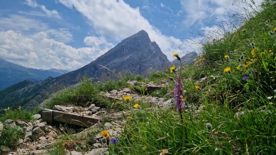 Watzmann-Frau
