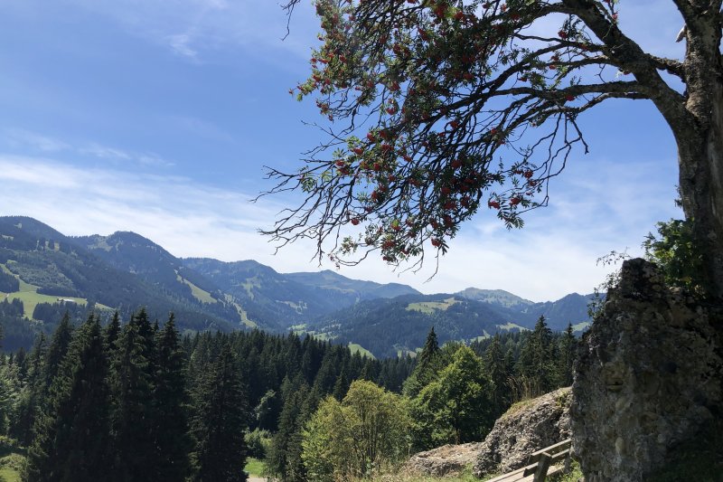 Bergblick Nagelfluhkette