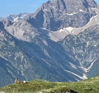 Blick auf den Hochvogel