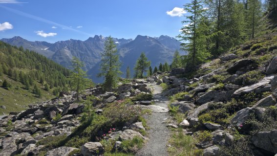 E5 Ü50 Höhenweg