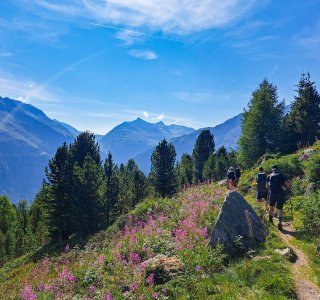 Höhenweg auf dem E5