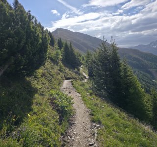 Venet Höhenweg