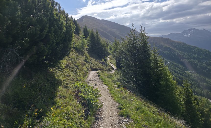 Venet Höhenweg