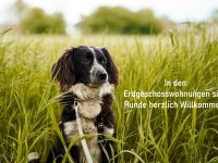 Hundehaltung