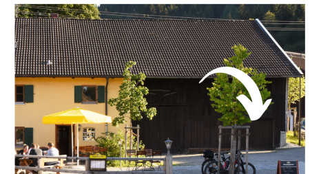 Fahrradgarage Alps Hostel