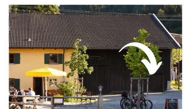 Fahrradgarage Alps Hostel