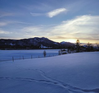 Feld im Winter Nesselwang