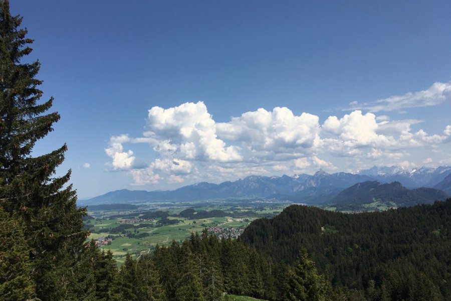 Kappeler Alp & Höllschlucht