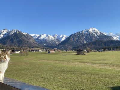 Wunderschöne Frühlingsstimmung