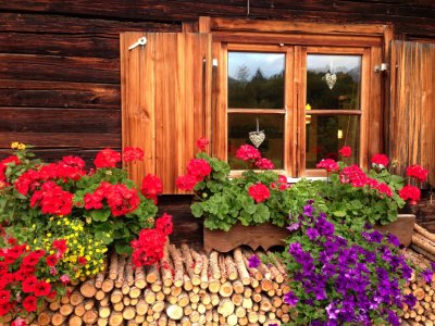 Oberstdorfer Haus mit Blumenschmuck