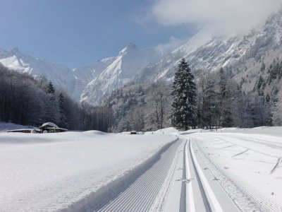 Gleich morgens ist die frisch präparierte Loipe besonders schön zu fahren!