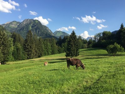 Traumhafte Kulisse auf dem Weg zum Moorbad Oberstdorf.
