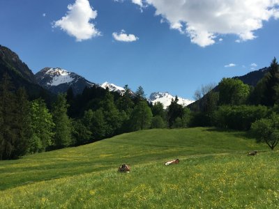 Der Weg zum Moorweiher und dem Moorschwimmbad ist ganz gewiss 