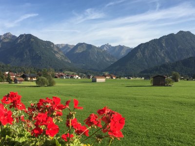 Frische Luft und Sommerfarben