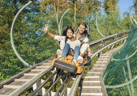 Alpsee Coaster Richtig Spass