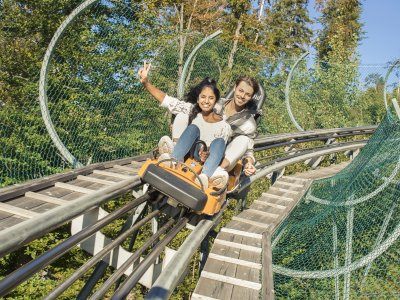 Der Alpsee Coaster