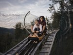Alpsee Coaster Nachtrodeln