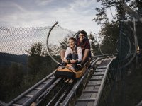 Alpsee Coaster Nachtrodeln