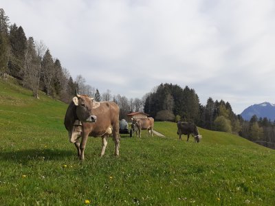 Unsere Rohstofflieferanten