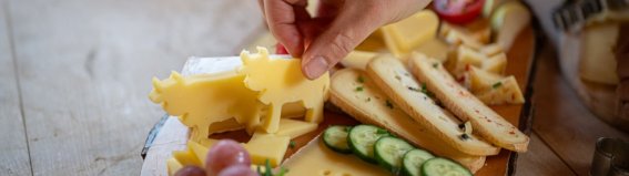 Käseplatte liebevoll angerichtet