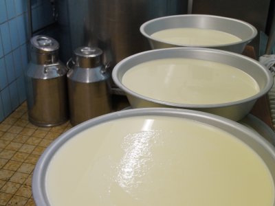 Sennerei Milch