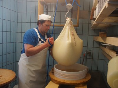 Der Käse kommt in die Form