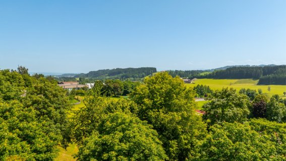 Grüne Wälder und Wiesen erstrecken sich bis zum Horizont an einem sonnigen Tag in der ländlichen Umgebung.