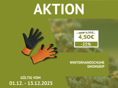 DEZEMBER-AKTION  (3)