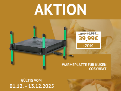 DEZEMBER-AKTION  (5)