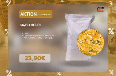 MÄRZ 26 MAISFLOCKEN