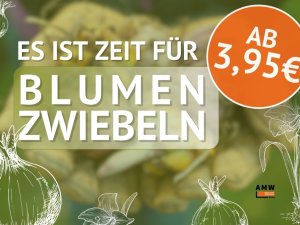 AMW AKTION OKTOBER  (1)