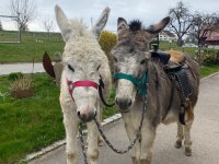 Otto und Berti