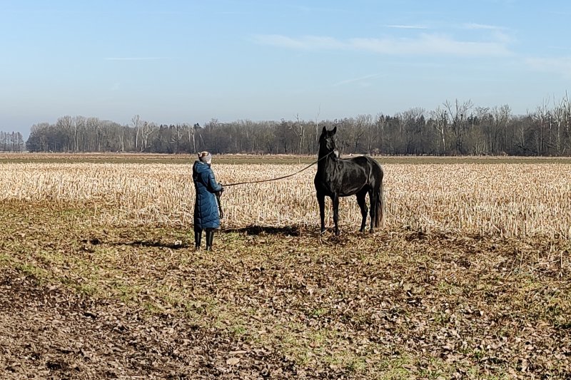 4 IMG 20250208 123619