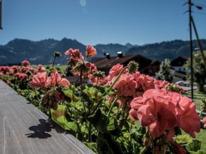 Ausicht206HIRSCHSPRUNG-1024x684