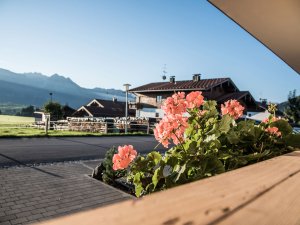 Ausblick farbe