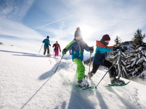 Vier Kinder wandern mit Schneeschuhen durch die verschneite Landschaft der Alpen an einem sonnigen Wintertag.