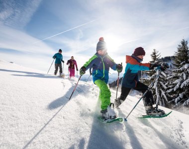 Vier Kinder wandern mit Schneeschuhen durch die verschneite Landschaft der Alpen an einem sonnigen Wintertag.