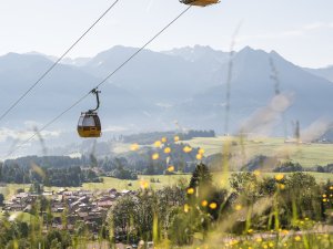 Eine Seilbahn schwebt über grüne Wiesen und zeigt die wunderschönen Alpenlandschaften im Hintergrund während des Tages.