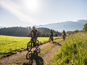 Gruppe von Radfahrern genießt eine MTB-Tour durch die Alpenlandschaft an einem sonnigen Tag.