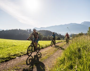 Gruppe von Radfahrern genießt eine MTB-Tour durch die Alpenlandschaft an einem sonnigen Tag.